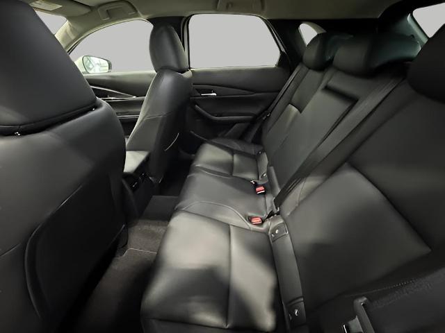 2025 Mazda CX-30 Vehicle Photo in Green Bay, WI 54304