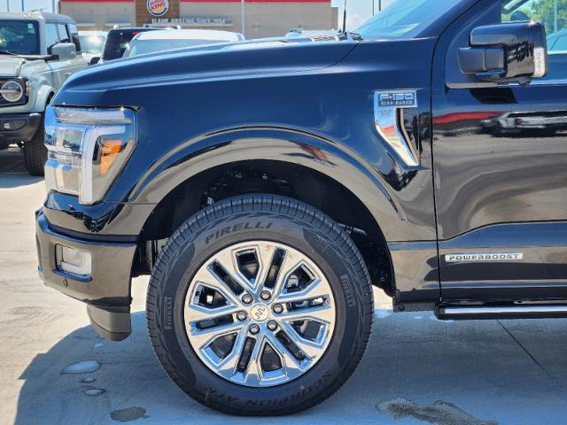 2024 Ford F-150 Vehicle Photo in STEPHENVILLE, TX 76401-3713