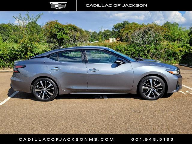 2023 Nissan Maxima Vehicle Photo in RIDGELAND, MS 39157-4406