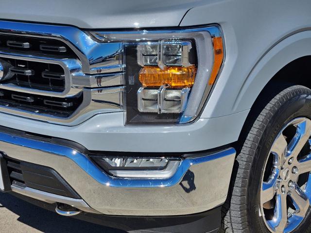 2021 Ford F-150 Vehicle Photo in Pilot Point, TX 76258