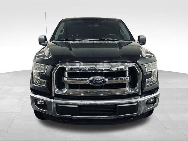 2016 Ford F-150 Vehicle Photo in MEDINA, OH 44256-9631