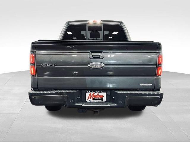 2011 Ford F-150 Vehicle Photo in MEDINA, OH 44256-9631