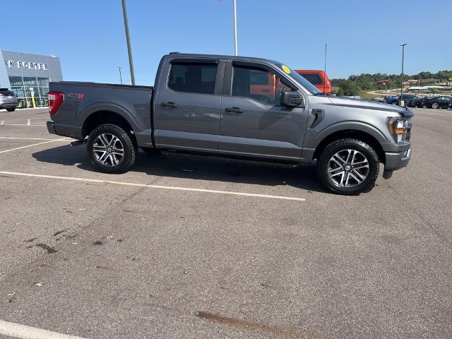 2023 Ford F-150 Vehicle Photo in Jackson, OH 45640-9766