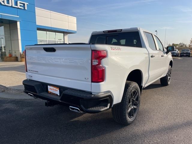 2025 Chevrolet Silverado 1500 Vehicle Photo in GLENWOOD, MN 56334-1123