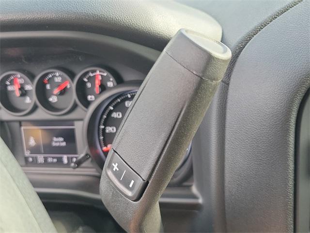 2024 Chevrolet Silverado 1500 Vehicle Photo in SEAFORD, DE 19973-8463