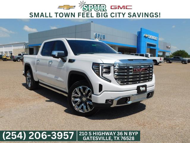 2024 GMC Sierra 1500 Vehicle Photo in GATESVILLE, TX 76528-2745