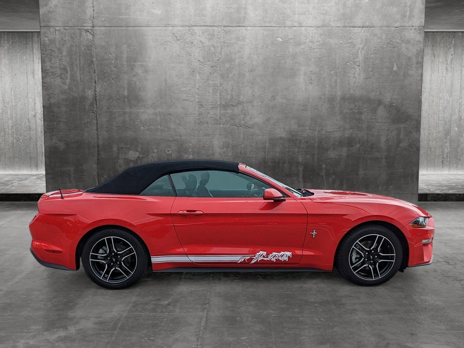 2021 Ford Mustang Vehicle Photo in Jacksonville, FL 32244