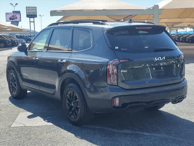 2024 Kia Telluride Vehicle Photo in Decatur, TX 76234