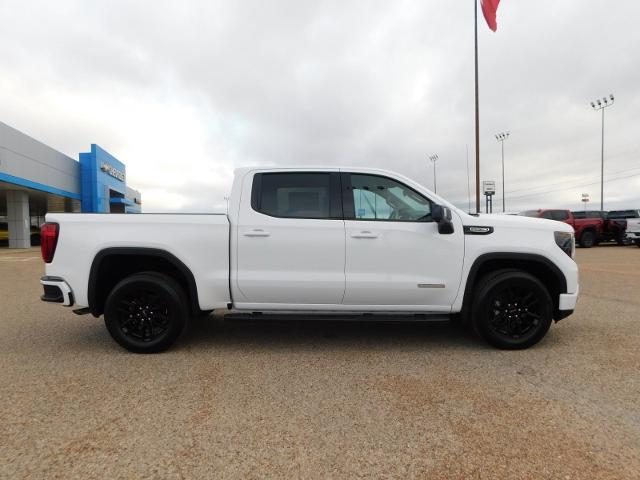 2024 GMC Sierra 1500 Vehicle Photo in GATESVILLE, TX 76528-2745