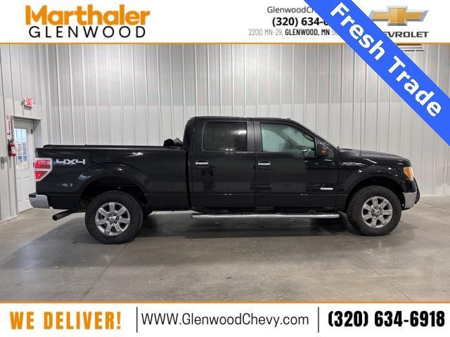 2014 Ford F-150 Vehicle Photo in GLENWOOD, MN 56334-1123