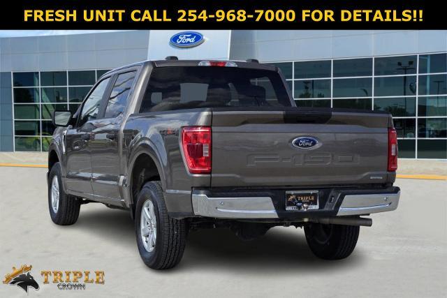 2023 Ford F-150 Vehicle Photo in STEPHENVILLE, TX 76401-3713