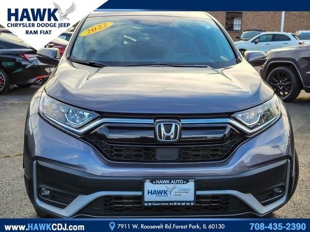 2020 Honda CR-V Vehicle Photo in Plainfield, IL 60586