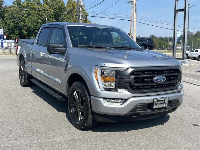 2021 Ford F-150 Vehicle Photo in ALCOA, TN 37701-3235