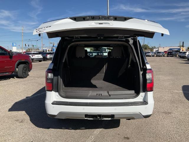 2020 Ford Expedition Vehicle Photo in PONCA CITY, OK 74601-1036