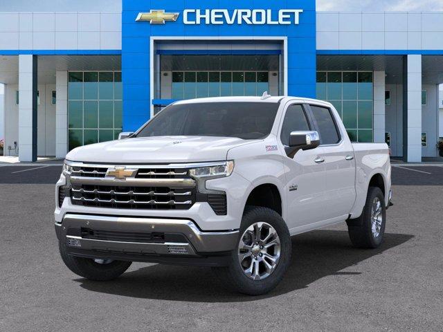 2024 Chevrolet Silverado 1500 Vehicle Photo in SELMA, TX 78154-1460