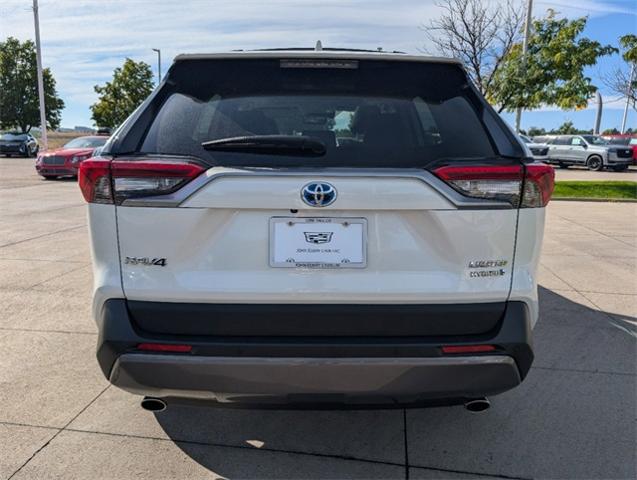 2019 Toyota RAV4 Vehicle Photo in LITTLETON, CO 80124-2754