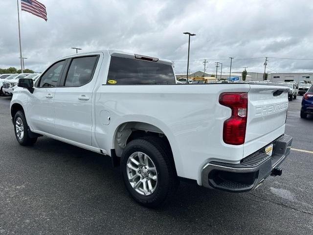 2023 Chevrolet Silverado 1500 Vehicle Photo in COLUMBIA, MO 65203-3903