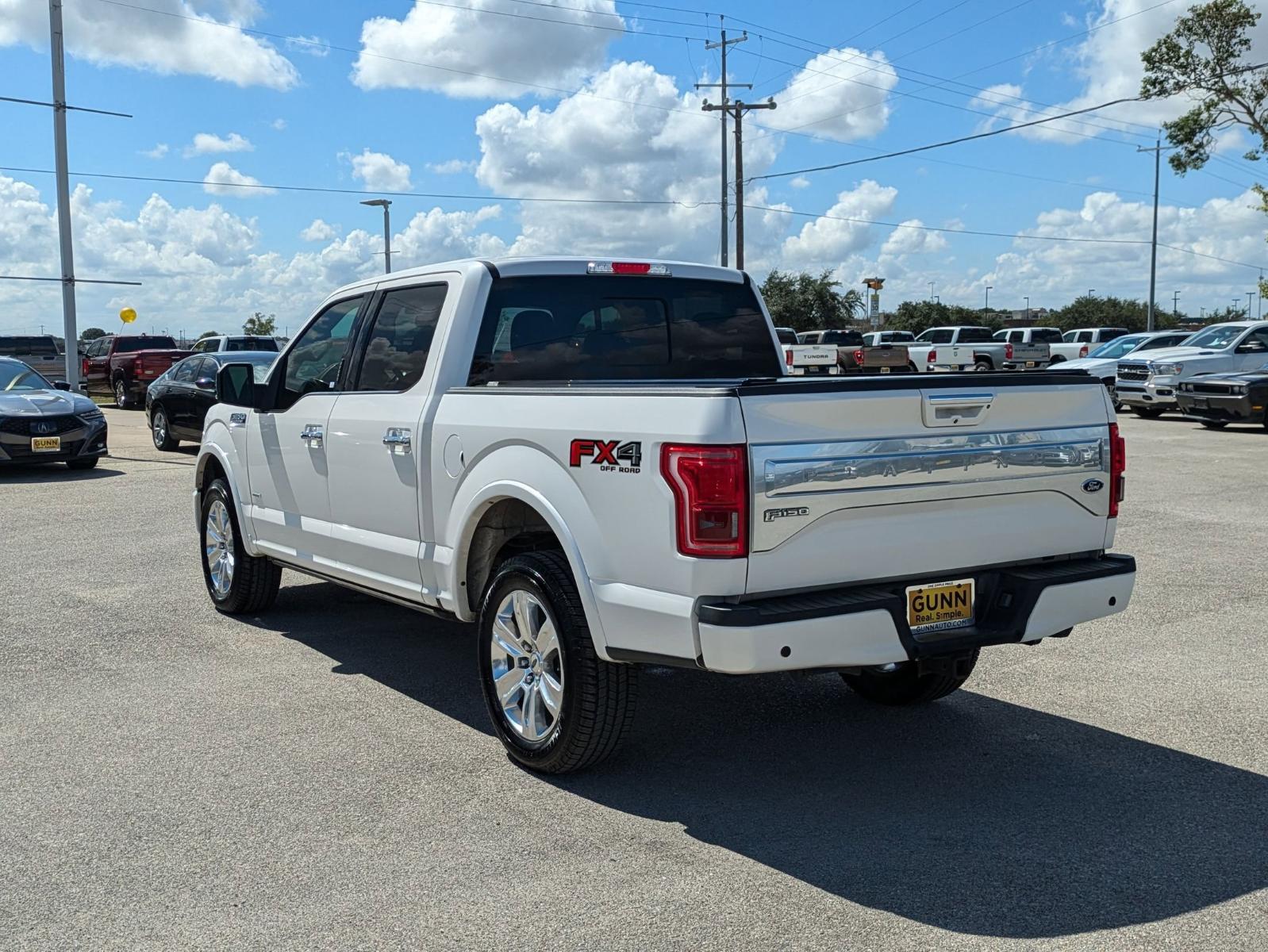 2015 Ford F-150 Vehicle Photo in Seguin, TX 78155