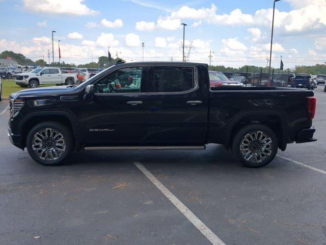 2025 GMC Sierra 1500 Vehicle Photo in ALBERTVILLE, AL 35950-0246