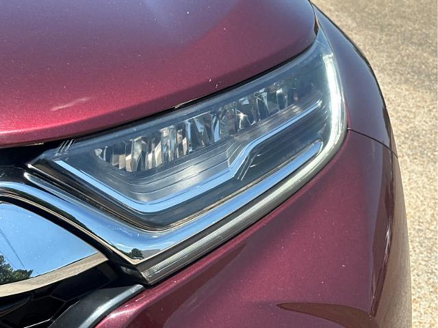 2018 Honda CR-V Vehicle Photo in DUNN, NC 28334-8900