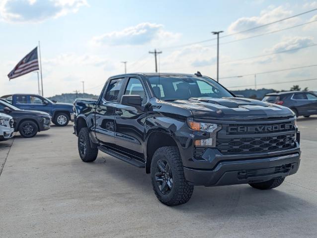 2024 Chevrolet Silverado 1500 Vehicle Photo in POMEROY, OH 45769-1023