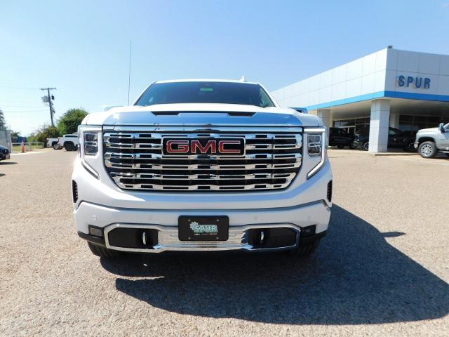 2025 GMC Sierra 1500 Vehicle Photo in Weatherford, TX 76087