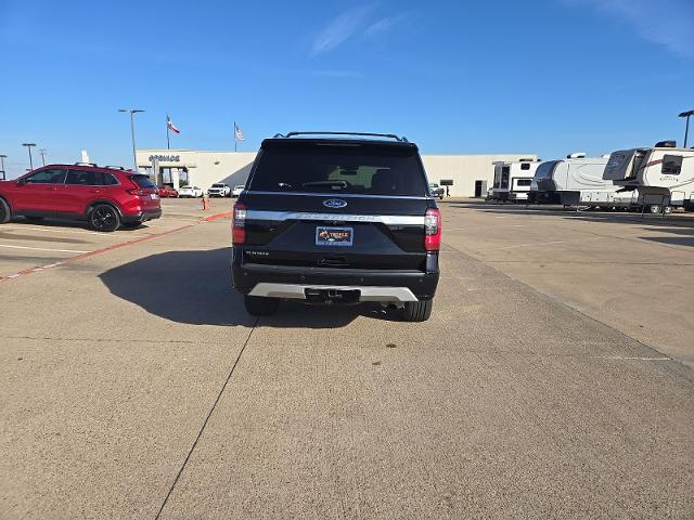 2019 Ford Expedition Vehicle Photo in Cleburne, TX 76033