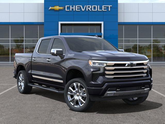 2024 Chevrolet Silverado 1500 Vehicle Photo in HOUSTON, TX 77034-5009