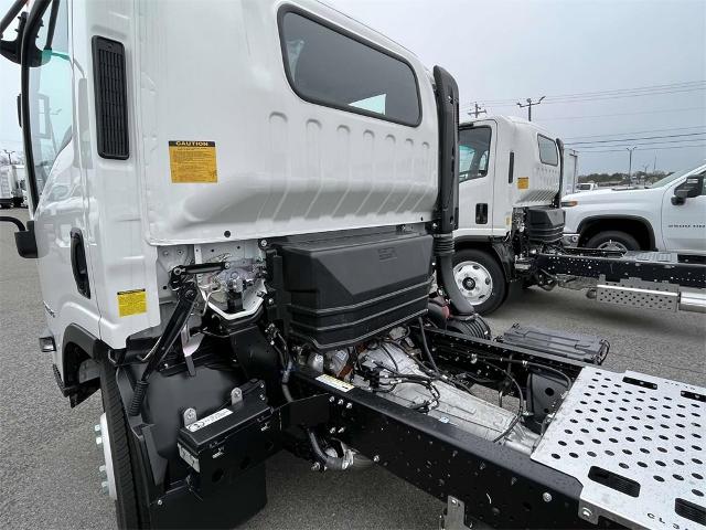 2024 Chevrolet Low Cab Forward 4500 Vehicle Photo in ALCOA, TN 37701-3235