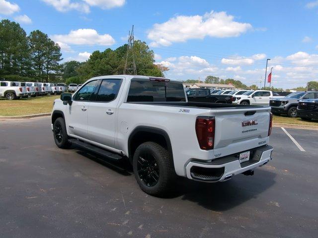 2025 GMC Sierra 1500 Vehicle Photo in ALBERTVILLE, AL 35950-0246