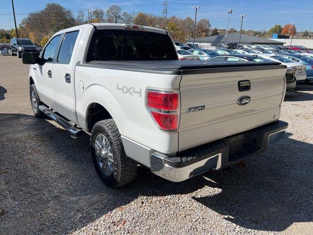 2010 Ford F-150 Vehicle Photo in MILFORD, OH 45150-1684