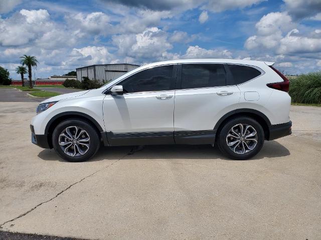 2022 Honda CR-V Vehicle Photo in BROUSSARD, LA 70518-0000