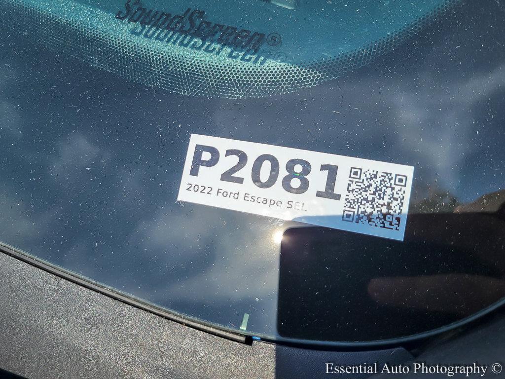 2022 Ford Escape Vehicle Photo in Saint Charles, IL 60174