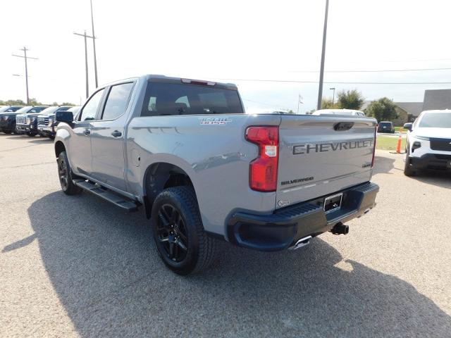 2025 Chevrolet Silverado 1500 Vehicle Photo in Weatherford, TX 76087