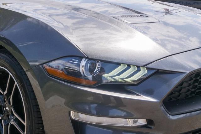 2020 Ford Mustang Vehicle Photo in VENTURA, CA 93003-8585