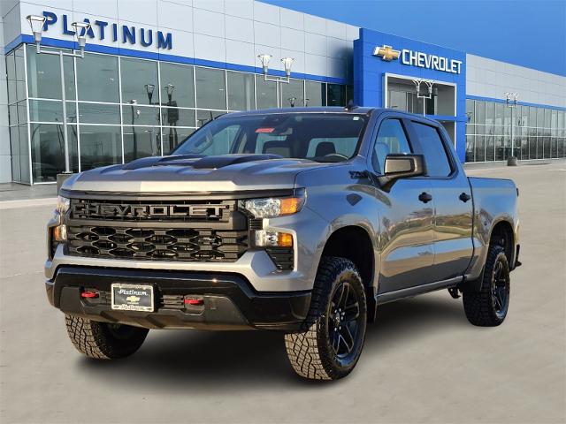 2024 Chevrolet Silverado 1500 Vehicle Photo in Weatherford, TX 76087