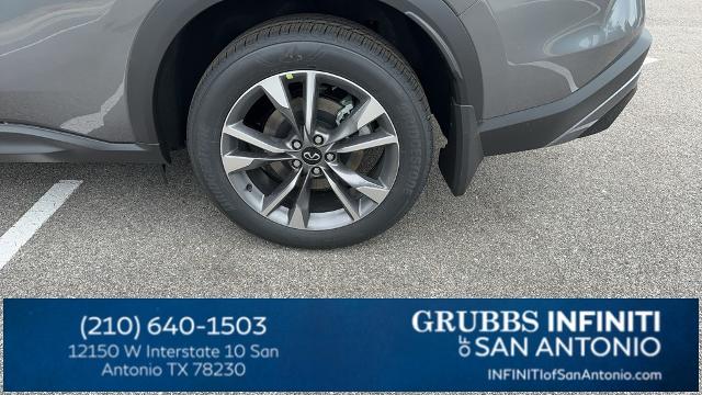 2024 INFINITI QX60 Vehicle Photo in San Antonio, TX 78230