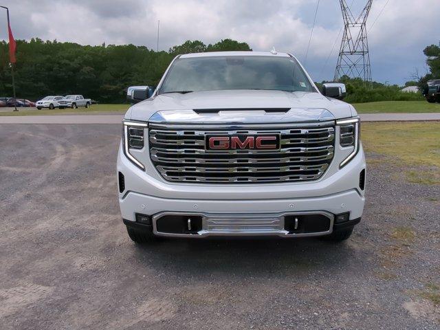 2024 GMC Sierra 1500 Vehicle Photo in ALBERTVILLE, AL 35950-0246