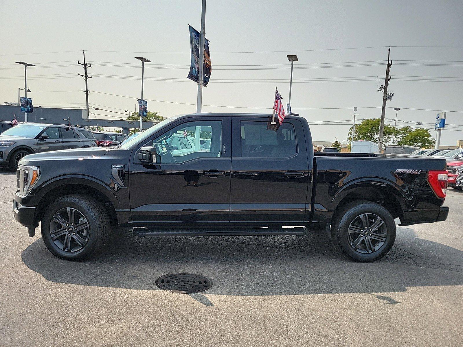 2023 Ford F-150 Vehicle Photo in Saint Charles, IL 60174