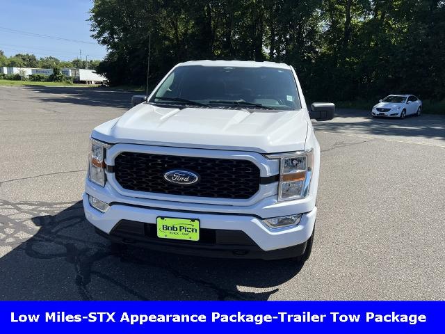 2021 Ford F-150 Vehicle Photo in CHICOPEE, MA 01020-5001