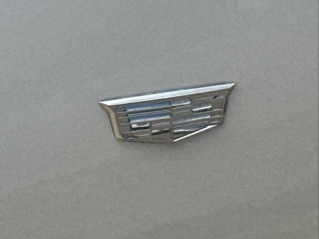 2020 Cadillac CT4 Vehicle Photo in DUNN, NC 28334-8900