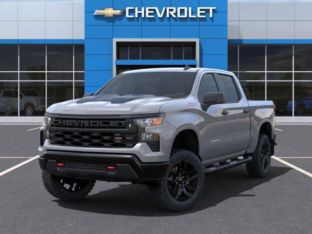 2025 Chevrolet Silverado 1500 Vehicle Photo in PAWLING, NY 12564-3219