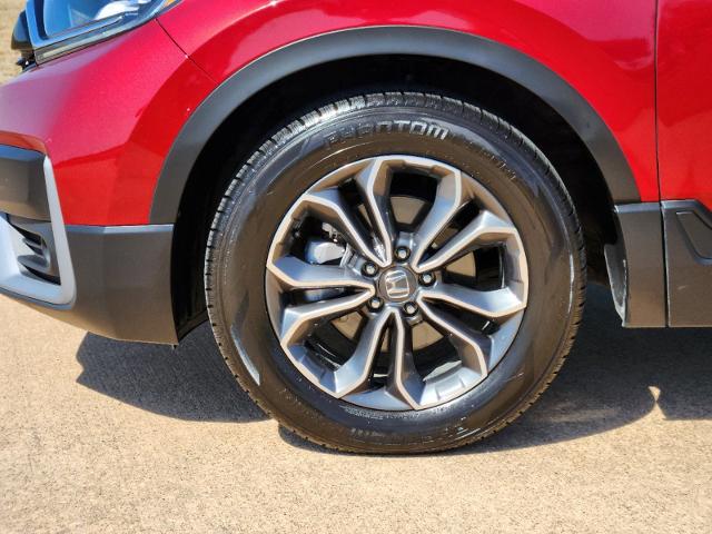 2022 Honda CR-V Vehicle Photo in Denison, TX 75020