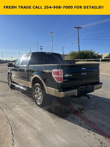 2014 Ford F-150 Vehicle Photo in STEPHENVILLE, TX 76401-3713