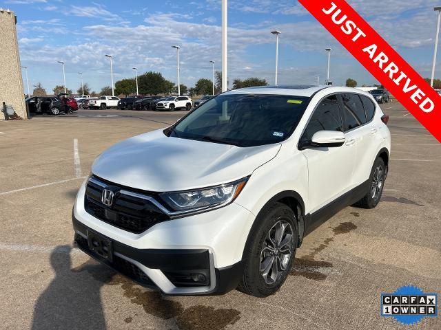 2022 Honda CR-V Vehicle Photo in Denison, TX 75020