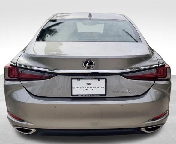 2019 Lexus ES Vehicle Photo in DELRAY BEACH, FL 33483-3294