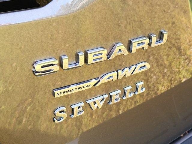 2024 Subaru Outback Vehicle Photo in DALLAS, TX 75209