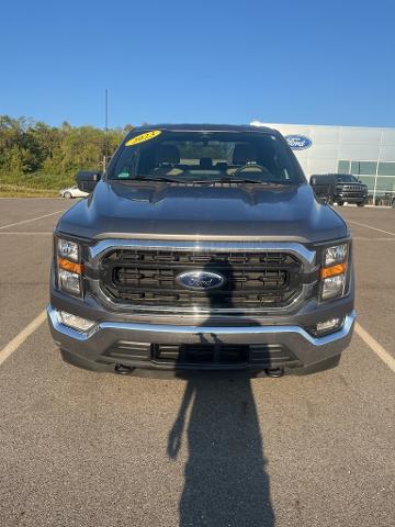 2023 Ford F-150 Vehicle Photo in Jackson, OH 45640-9766