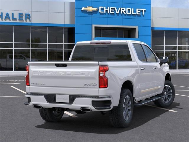 2025 Chevrolet Silverado 1500 Vehicle Photo in GLENWOOD, MN 56334-1123