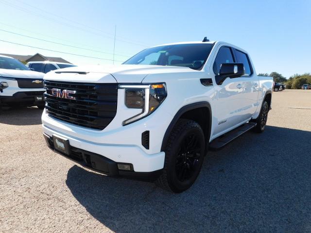 2025 GMC Sierra 1500 Vehicle Photo in GATESVILLE, TX 76528-2745